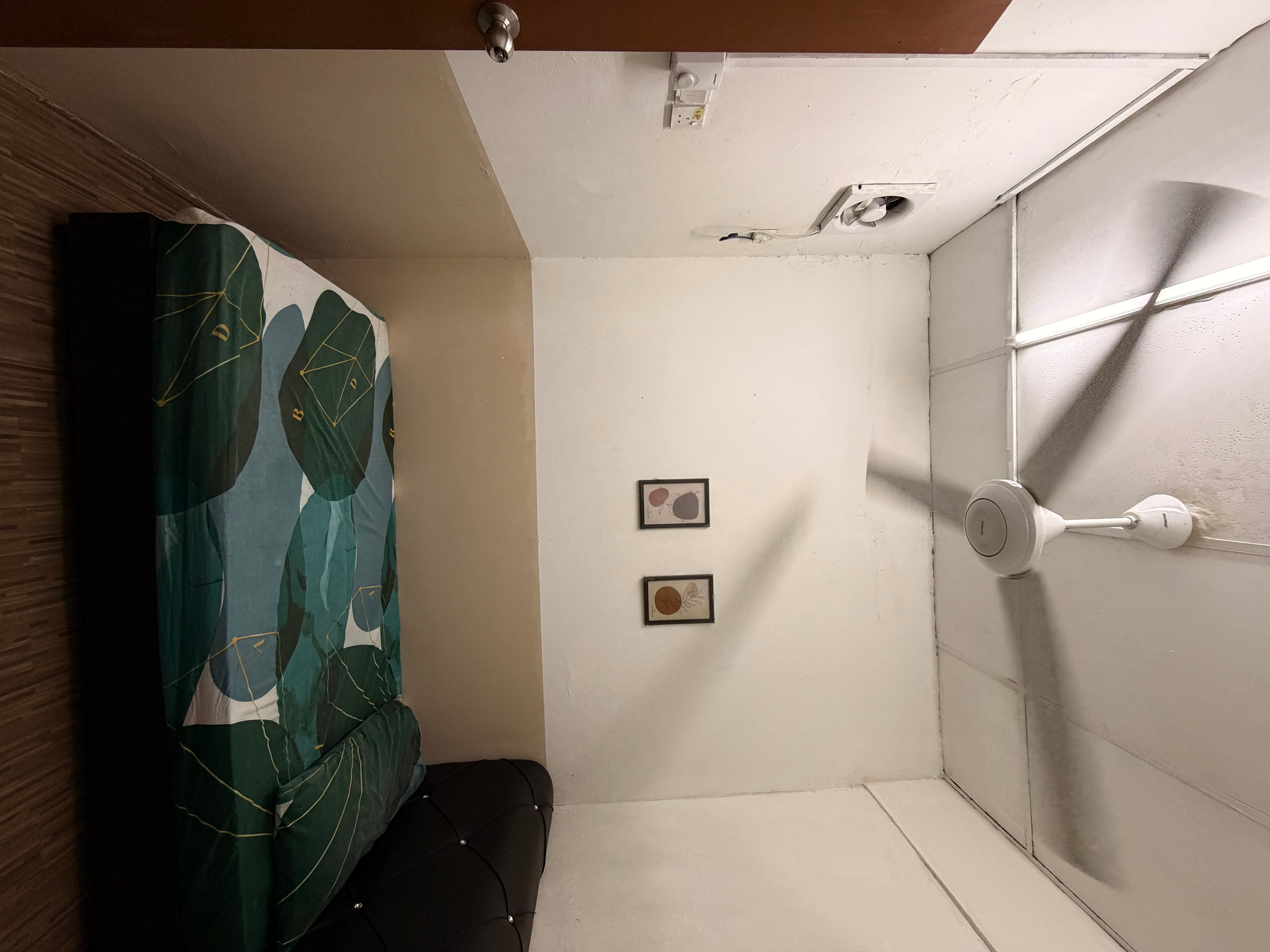 Larkin 11 - Single bedroom (Eco) view 2